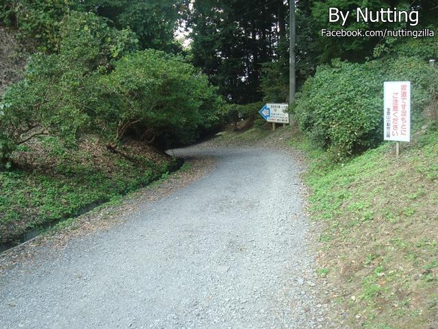 DSC03951.JPG